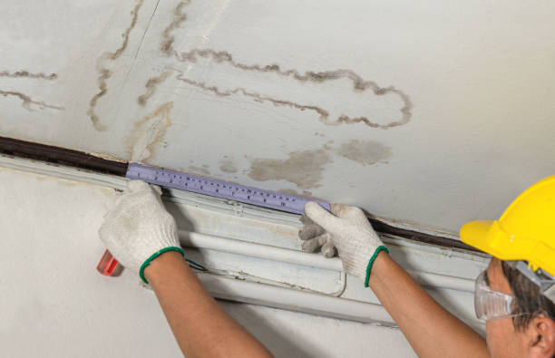 Reliable Water Damage contractor in Randolph, MS by Water Damage Irwin